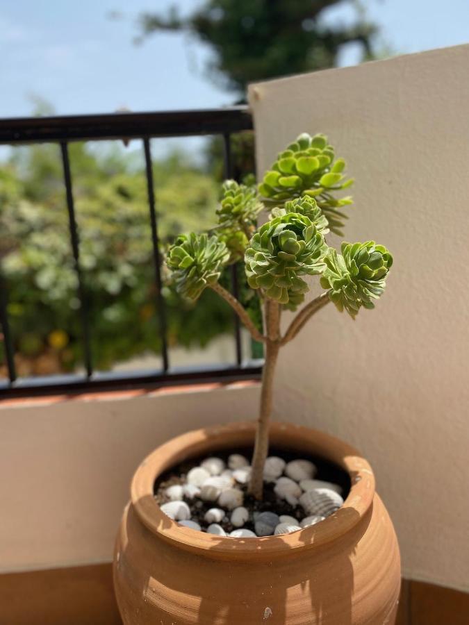 Apartament Palmeras 3, *